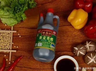 “醋頭醋”:傳承百年技藝 醋香飄四海